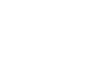 Periska projekt logo bijeli